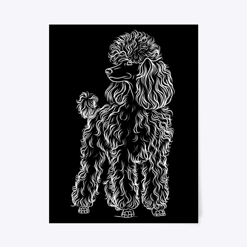 Minimal Curly Poodle