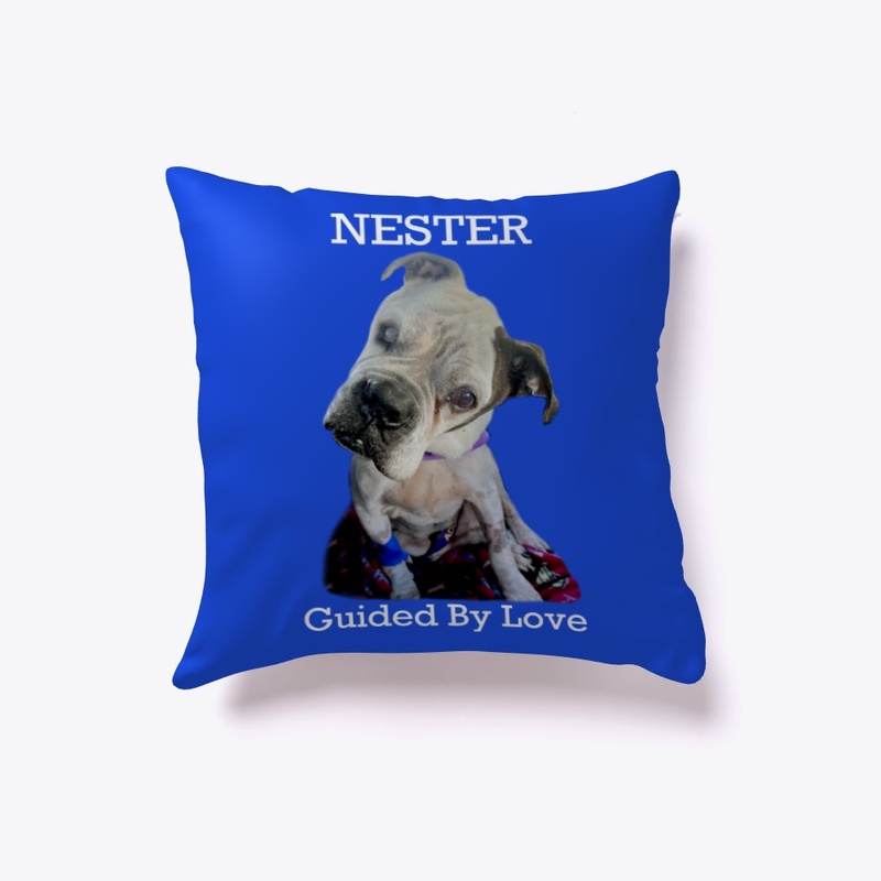 Nester - Guided By Love -  2