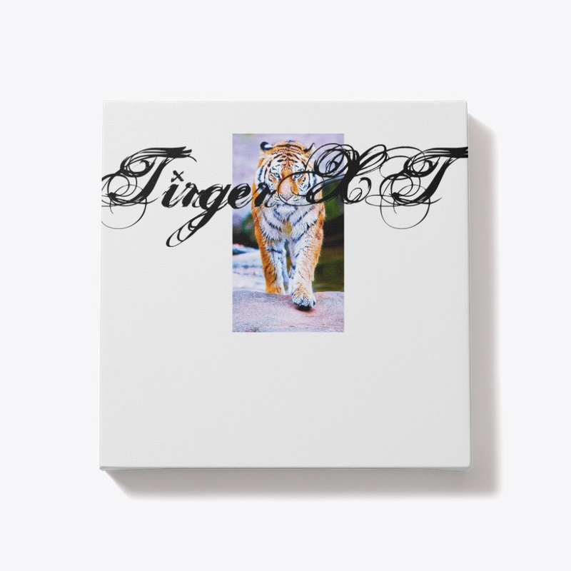 New collections of shirts  other product