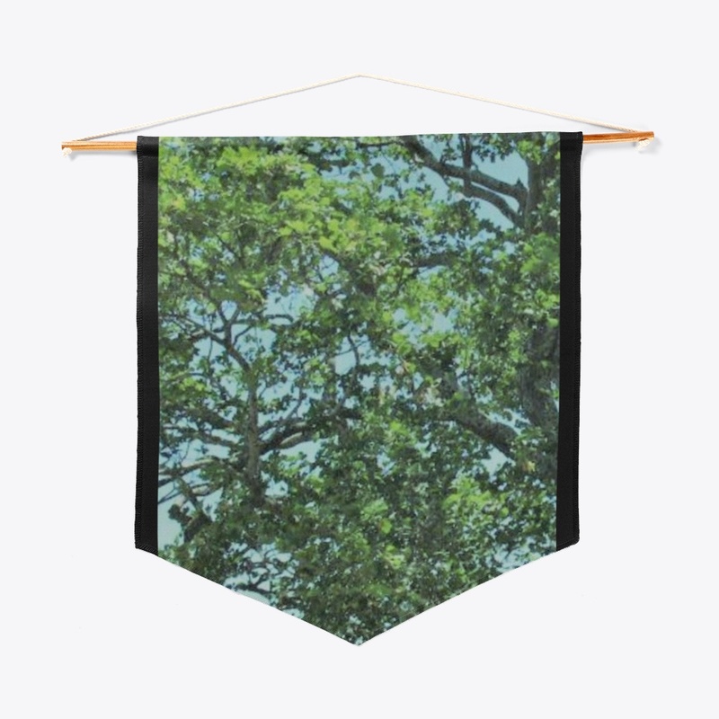 THE AERIAL TREE