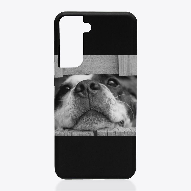 Lovely dog
