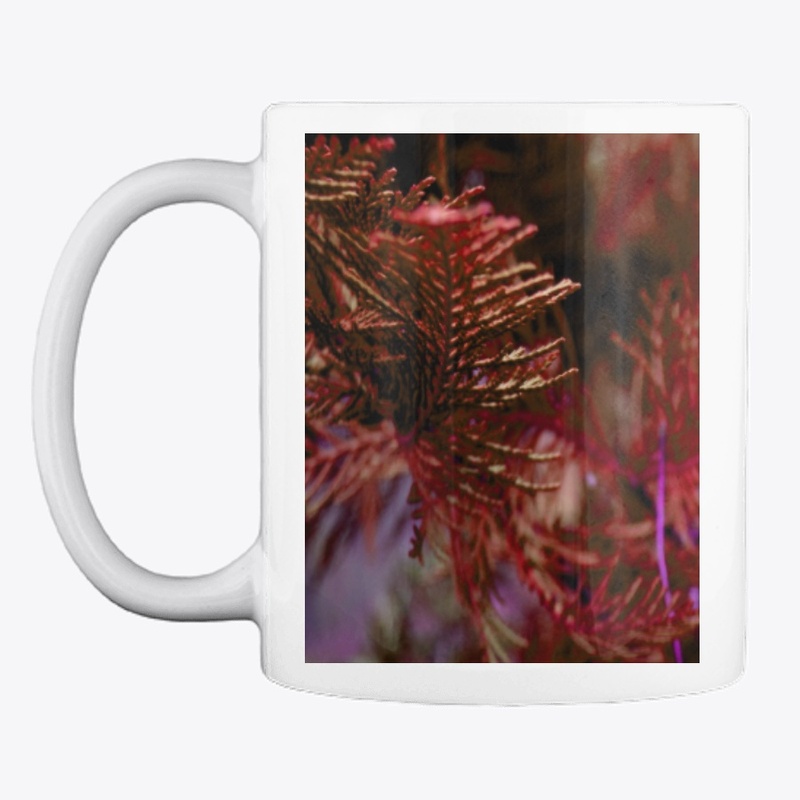 red cypress