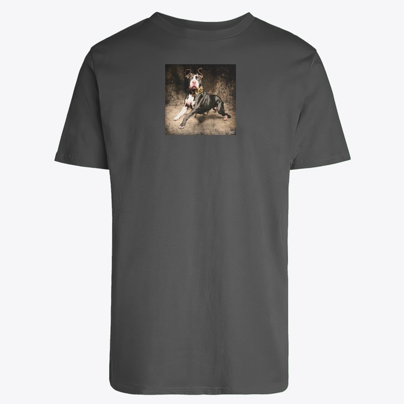 STEAM-PUNK BULLY