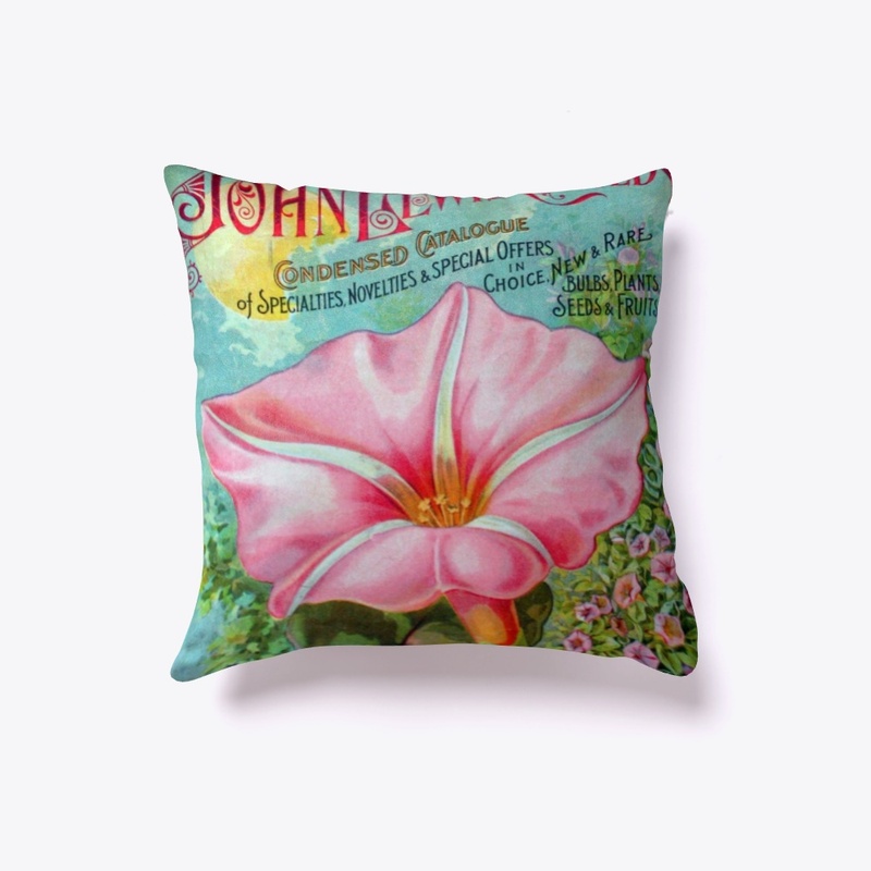 Vintage Pink Morning Glory