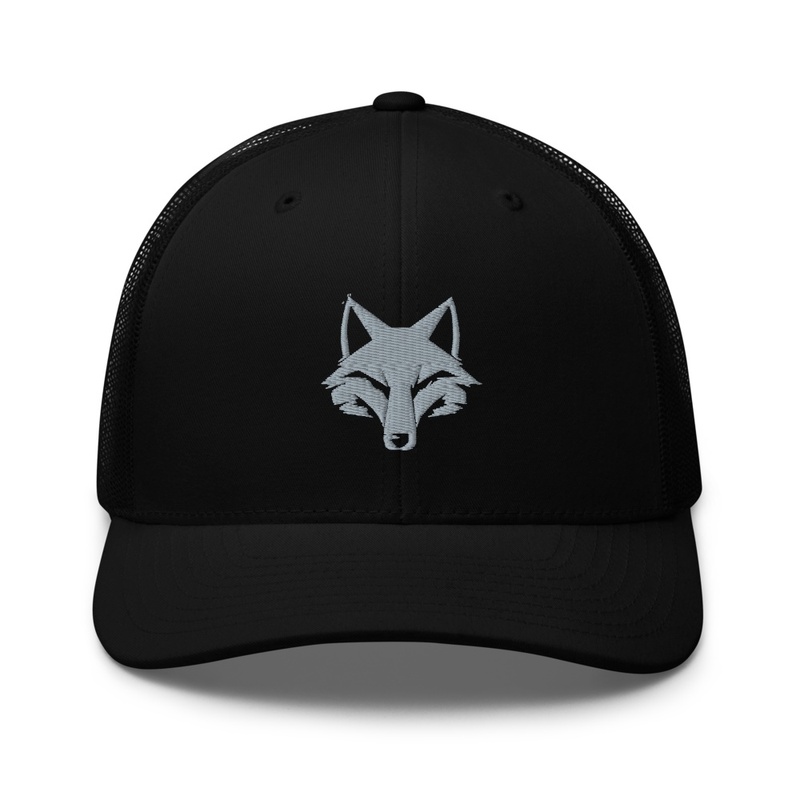 Minimalist Geometric Fox Art