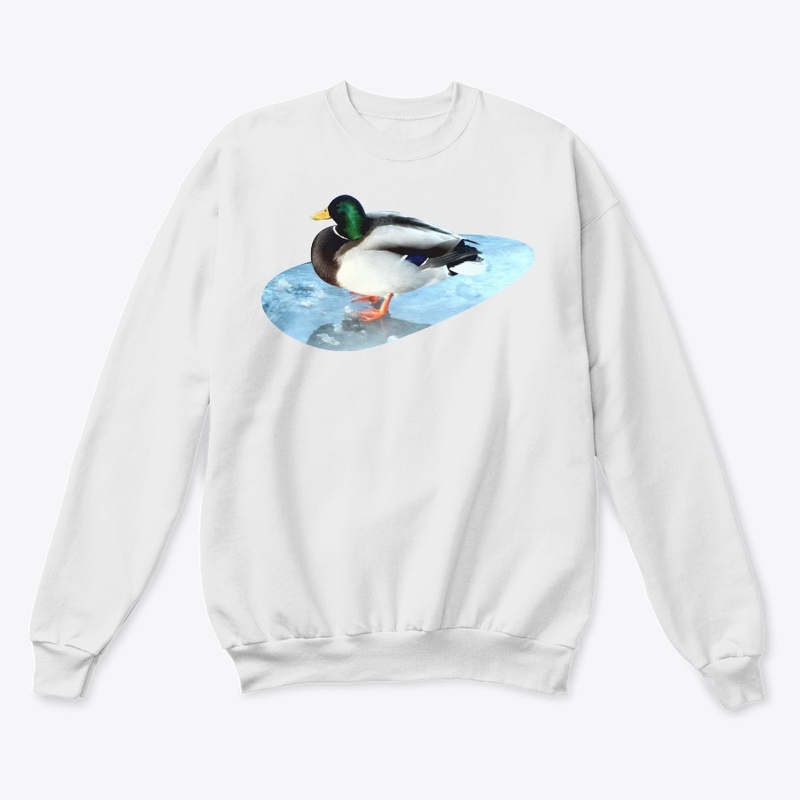 Ducks sit on the ice and swim 