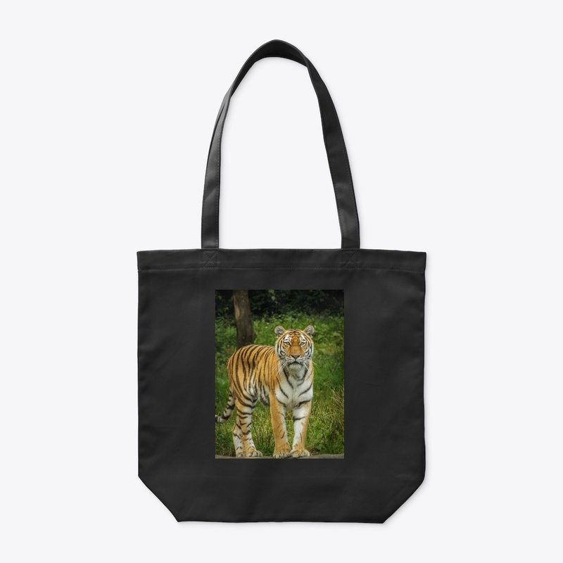 Tiger lying on green grass