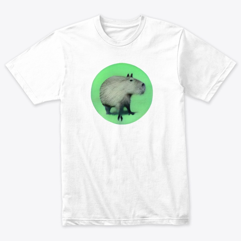 Capybara #39