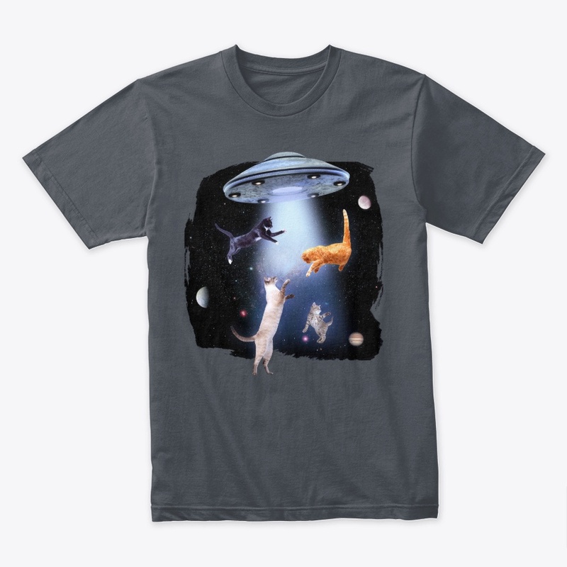 Alien Abduction, Space Cats UFO
