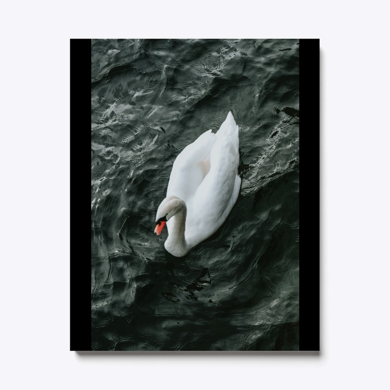 Swan Elegance Tee - Graceful Style