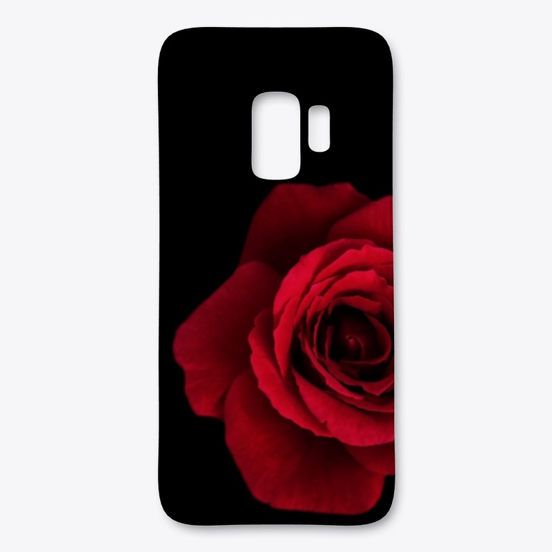 Red Rose on a black background
