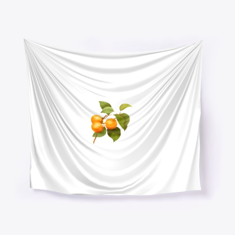 Vintage apricot fruit
