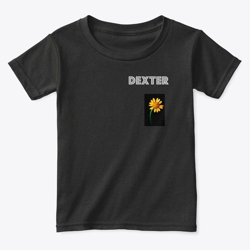 Dexter team shirts and hoodies