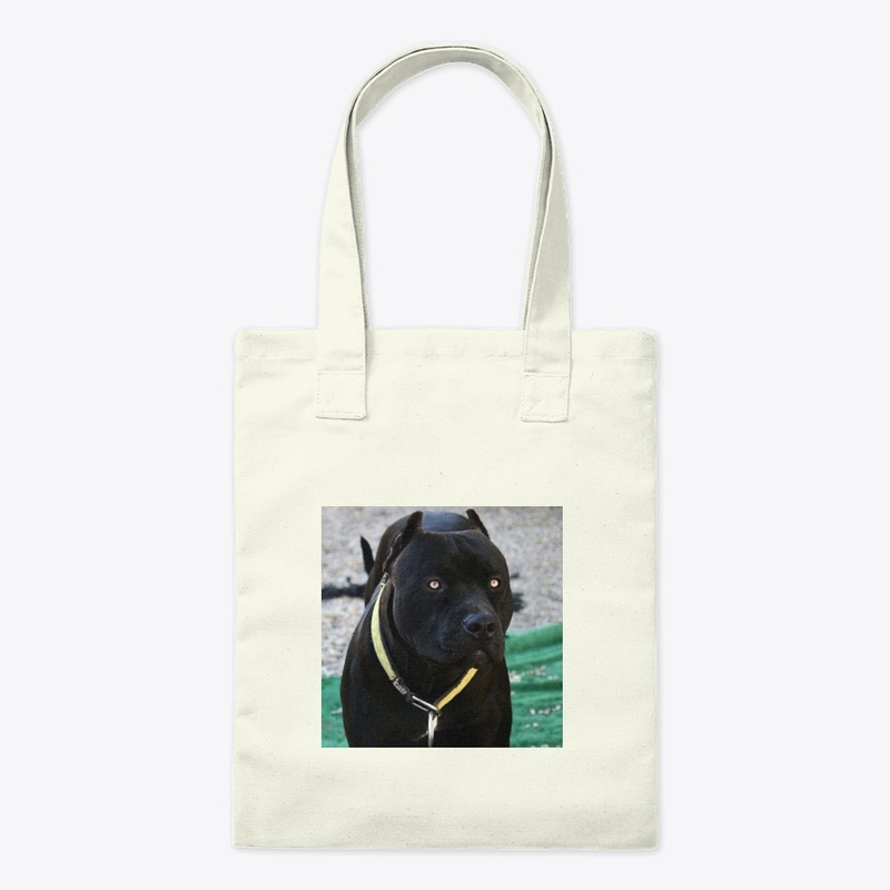 Pitbulls Black