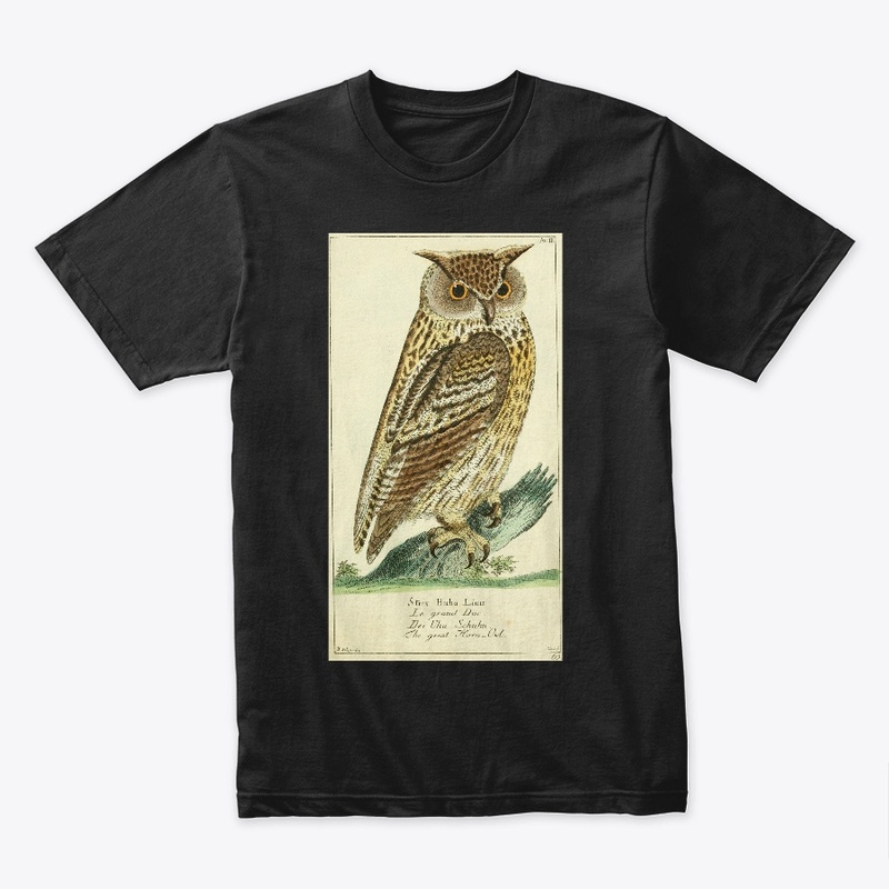 The Owl