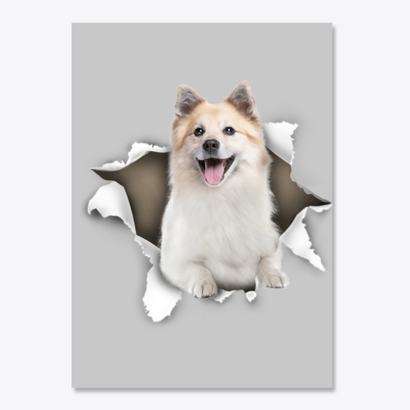 Icelandic Sheepdog Torn Paper