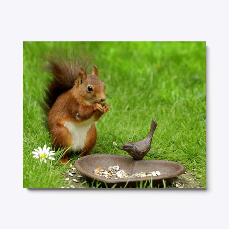 Squirrel At Lunch