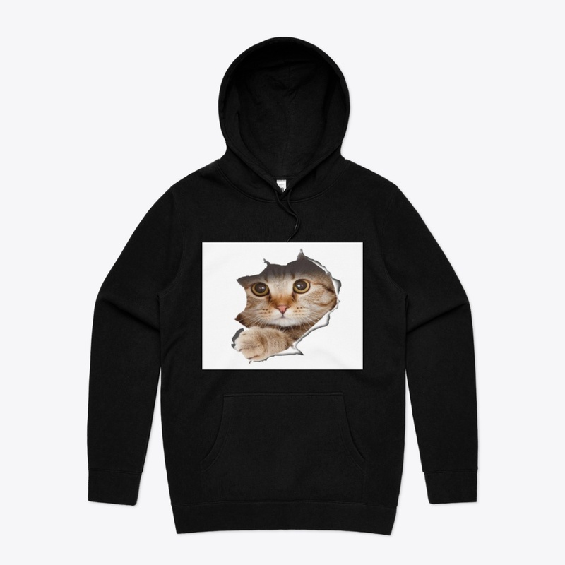 CAT IS COMING OUT