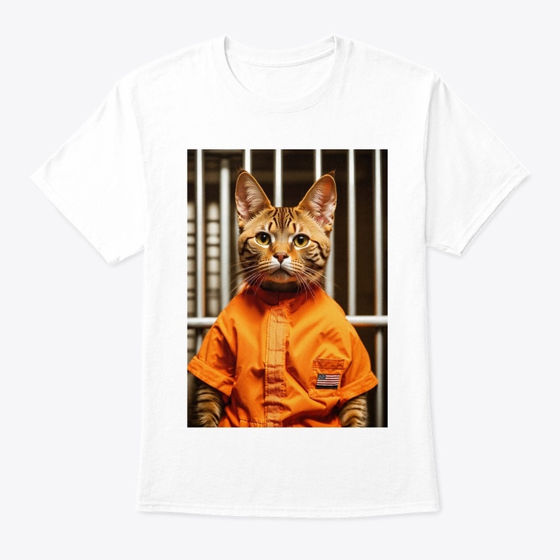 funny cat 