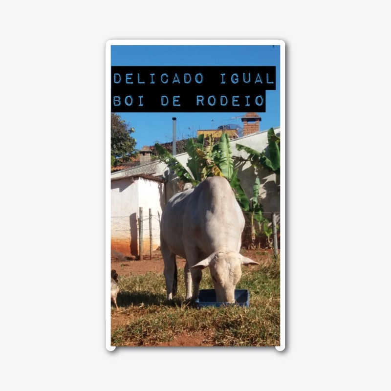 SUCESSOR