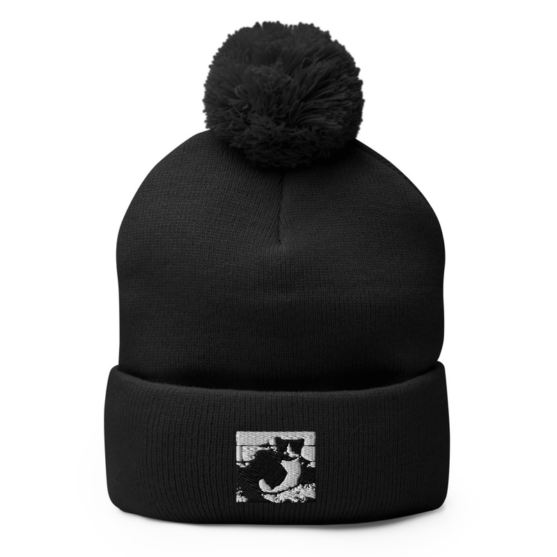 Pom Pom Knit Cap Pom Pom Knit Cap