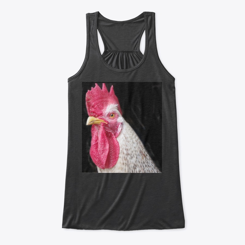 rooster chicken farm animal