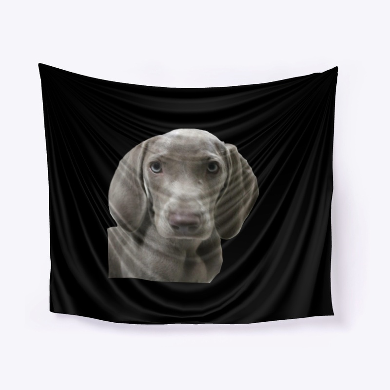 Cute Weimaraner Puppy Face
