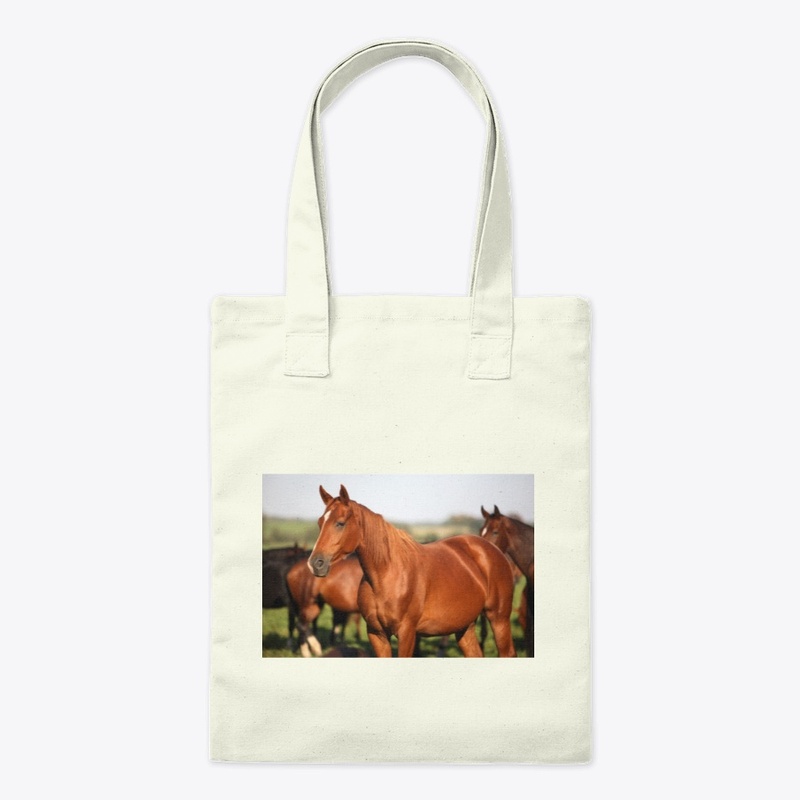 Horse Image Products