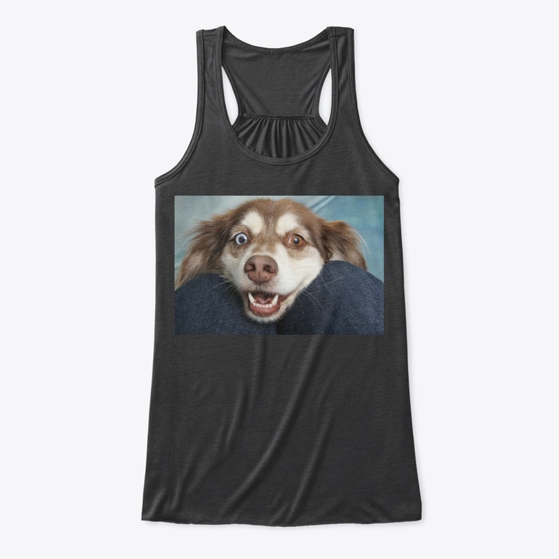  dog  🐕