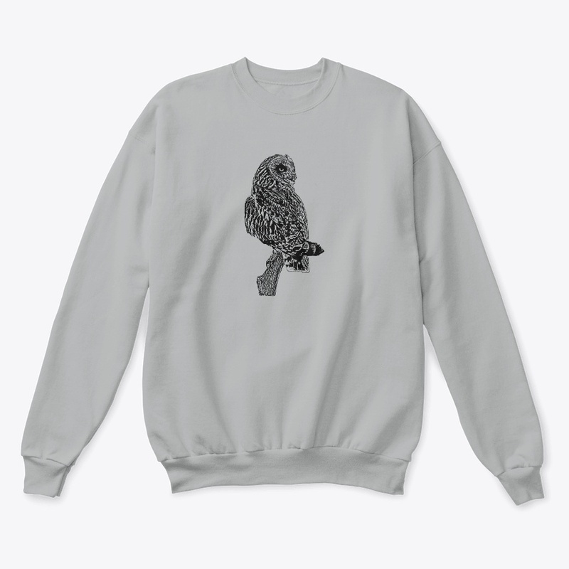 Short-eared Owl Birdwatching