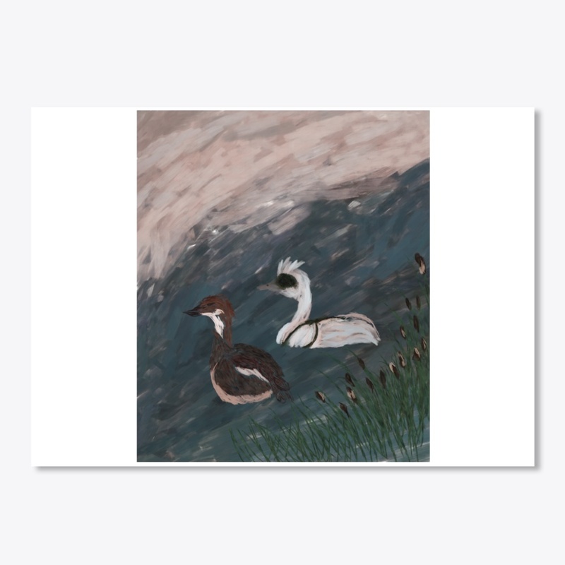 Pair of Smew