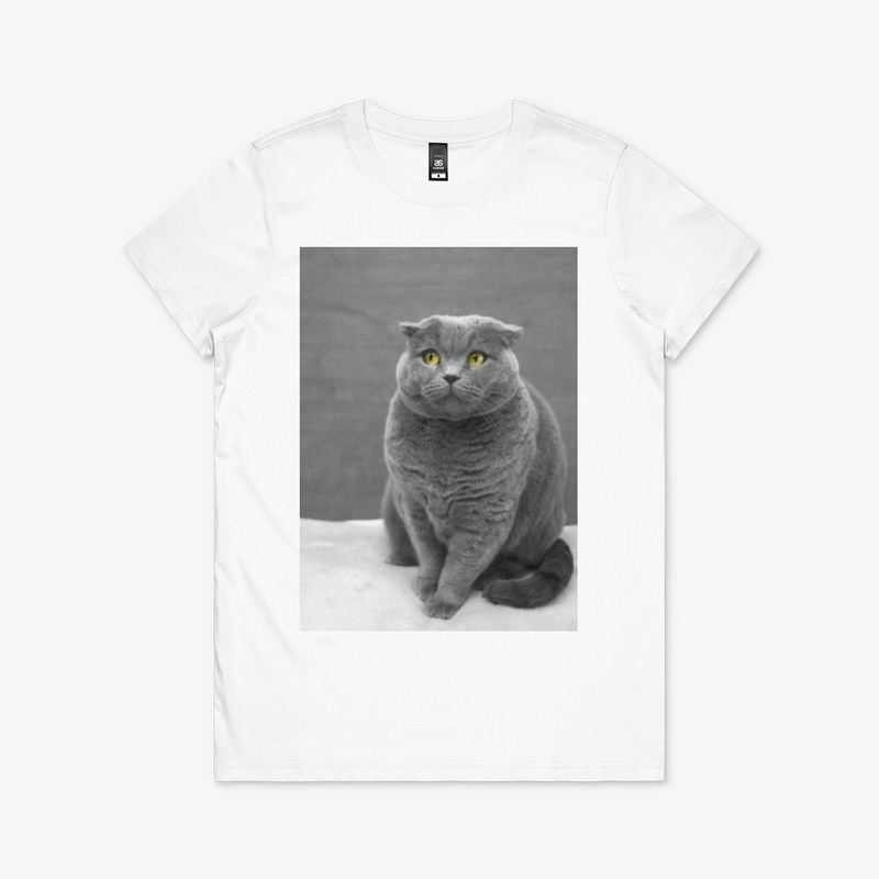 I LOVE MY CAT