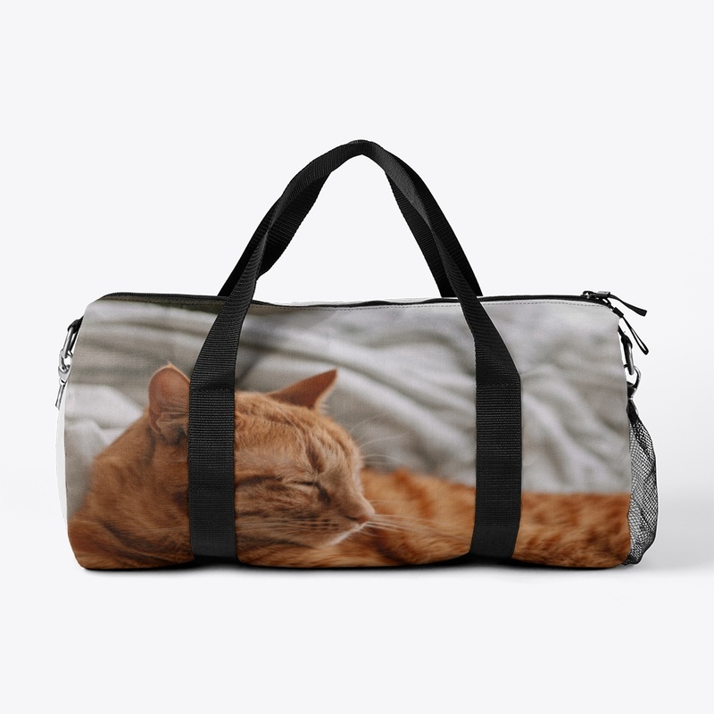 Nice cat