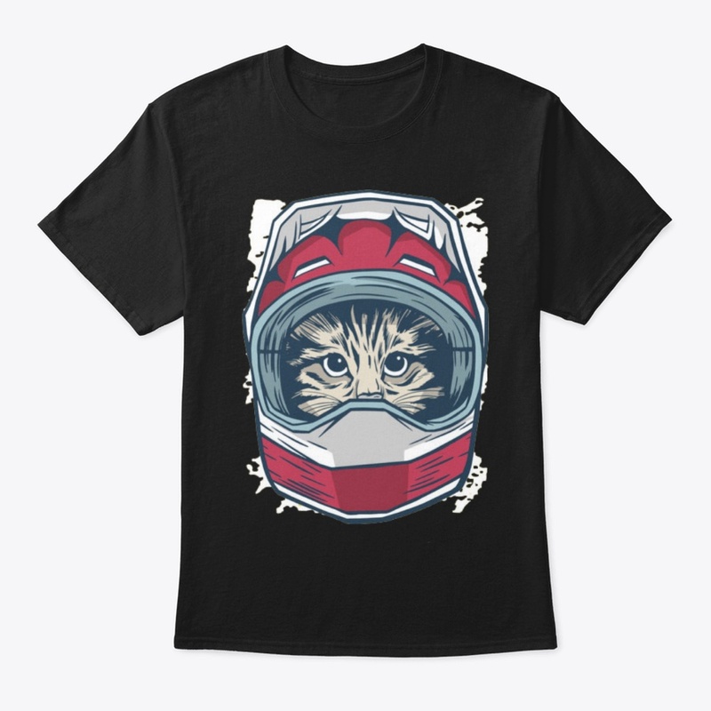 cat wearing a driver's helmet