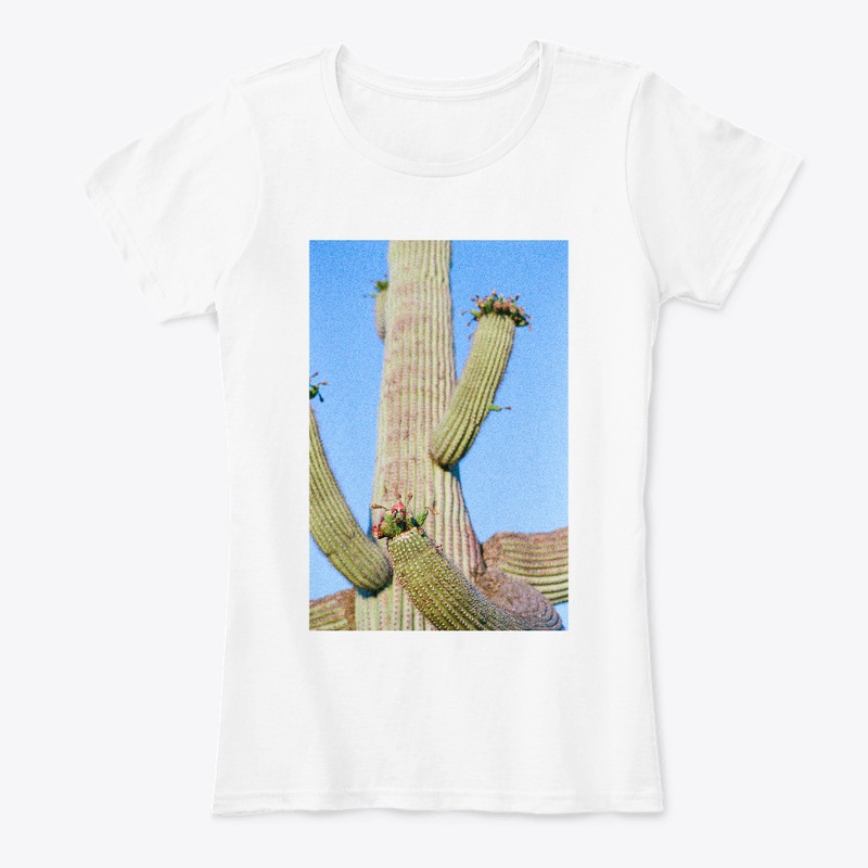 Big Cactus
