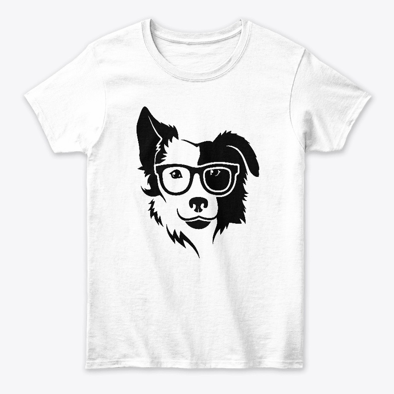 Border collie2