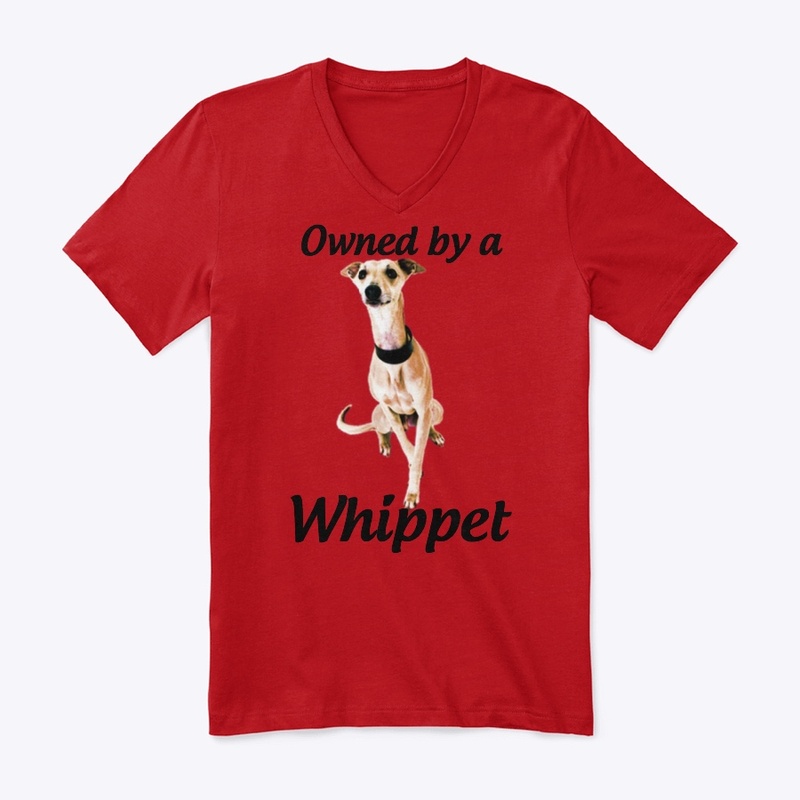 owned by a whippet dog