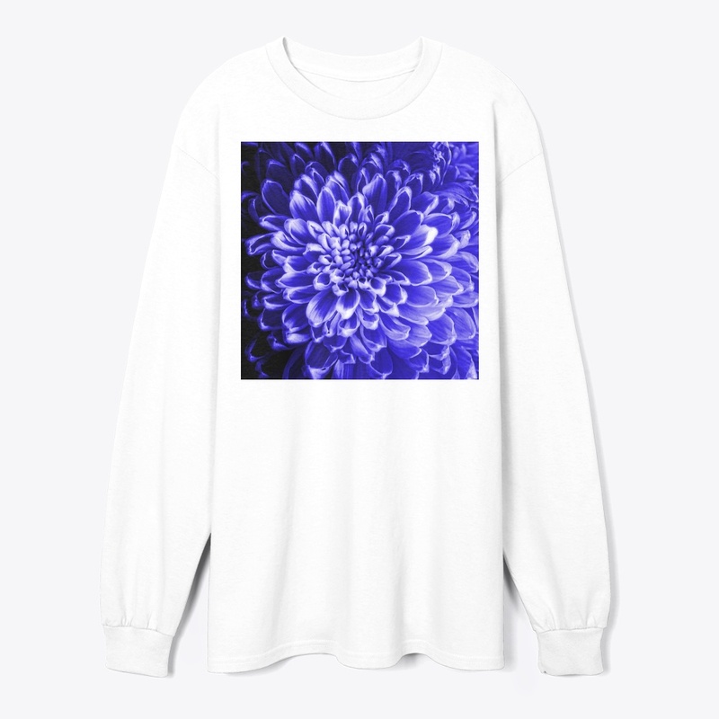 Blue Chrysanthemum