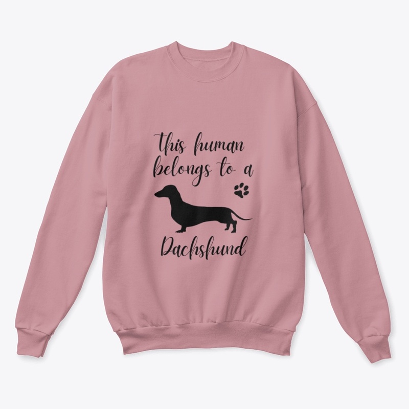 This human belongs to a Dachshund