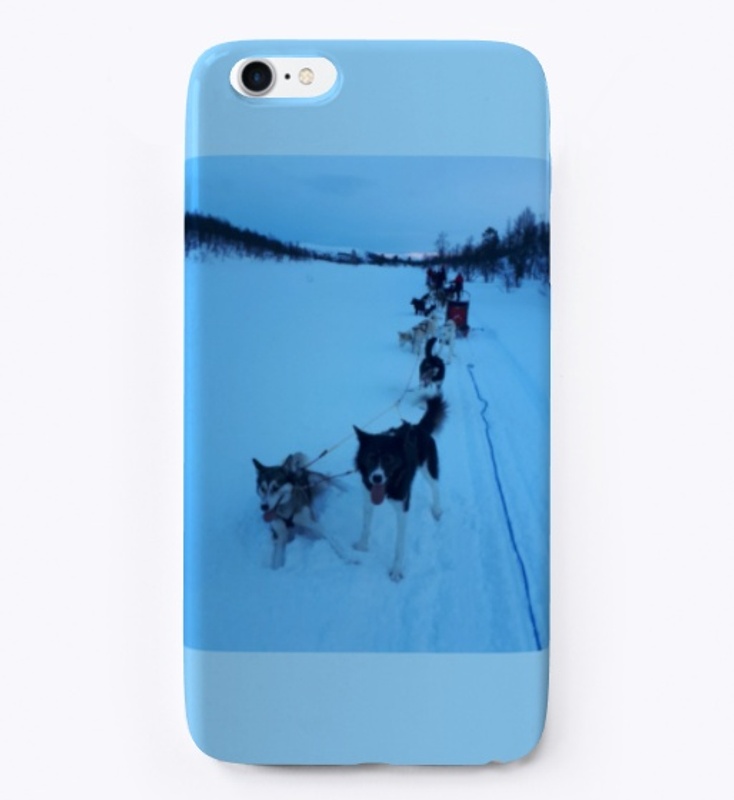 Norway - Dog Sledding