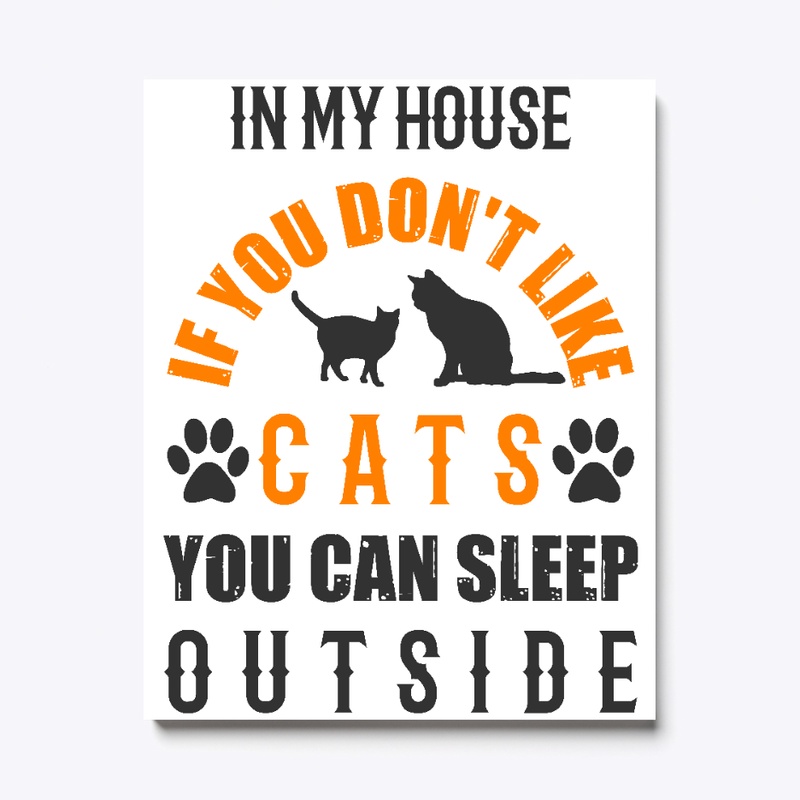 CAT CANVAS || IN MY HOUSE