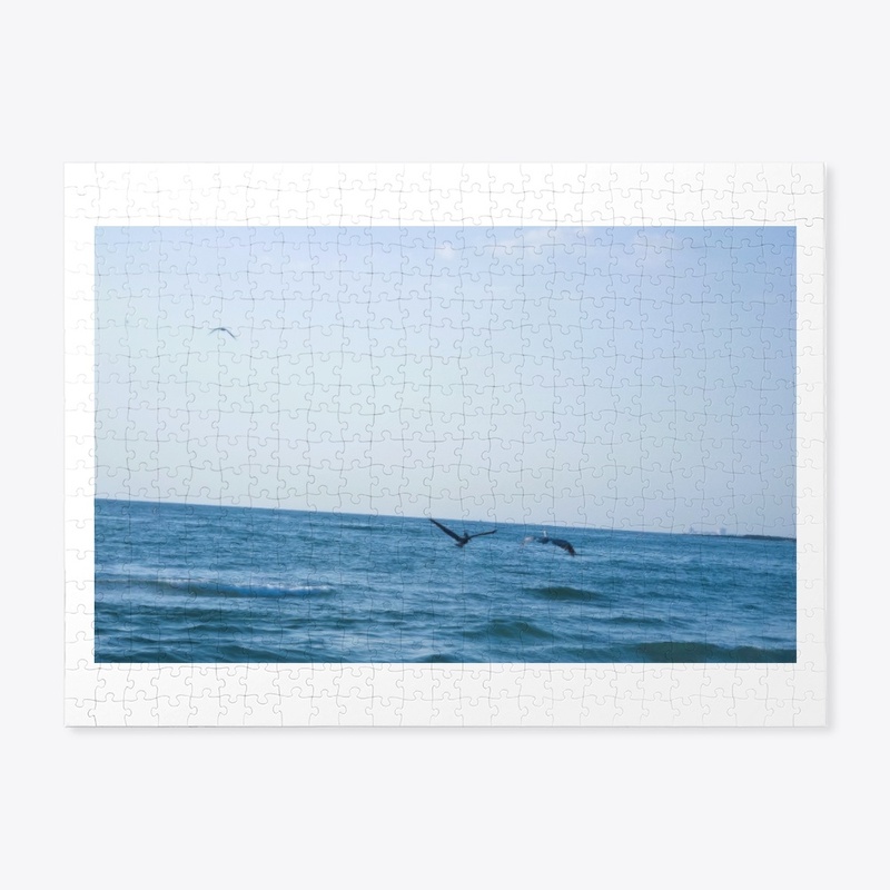 Birds in Flight