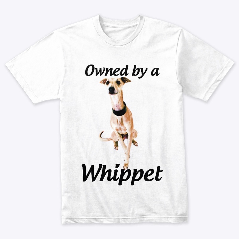 owned by a whippet dog