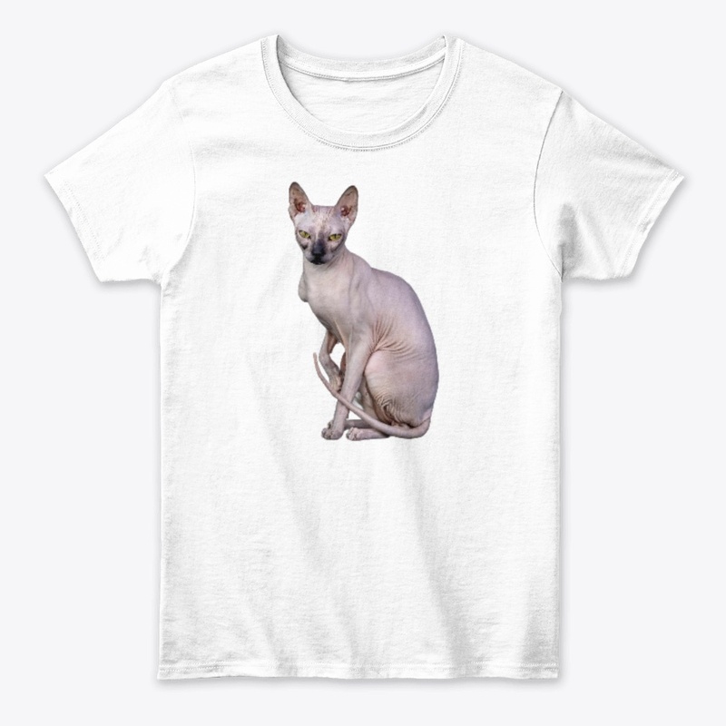 Kiss me chat