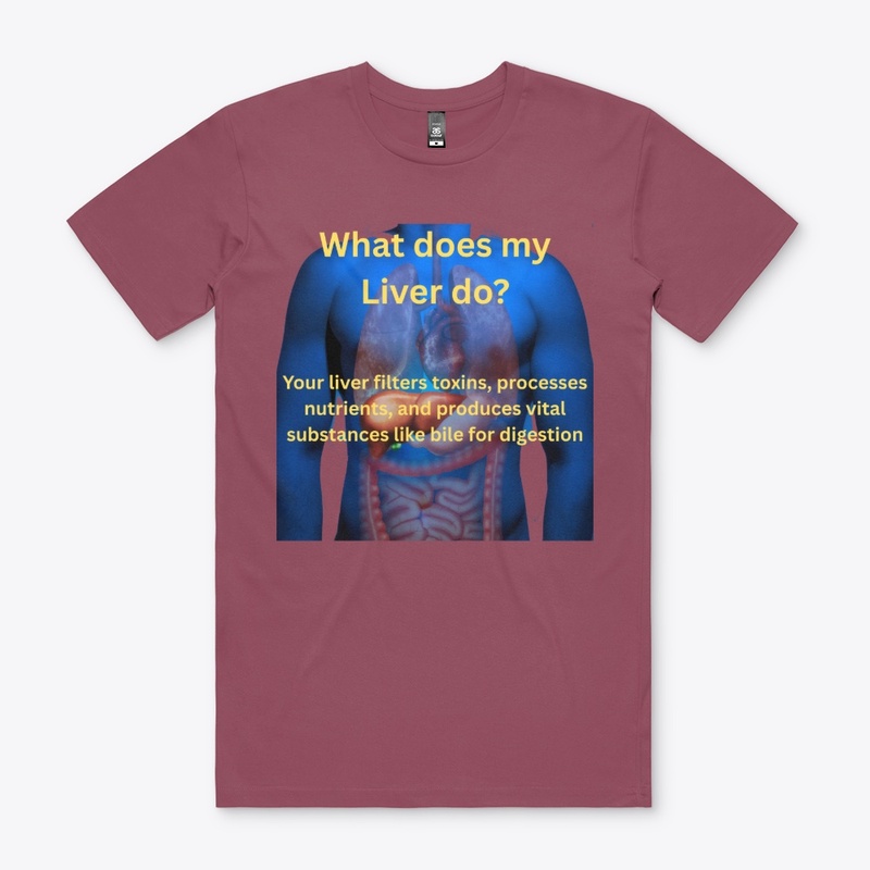 The Liver's Function