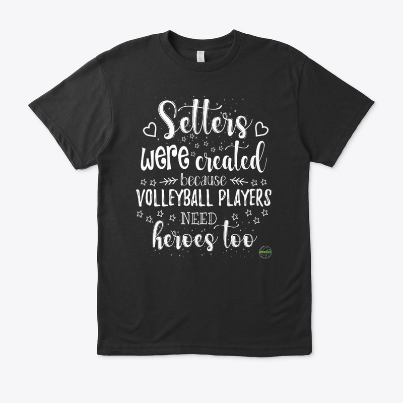 Setters Were Created Because 