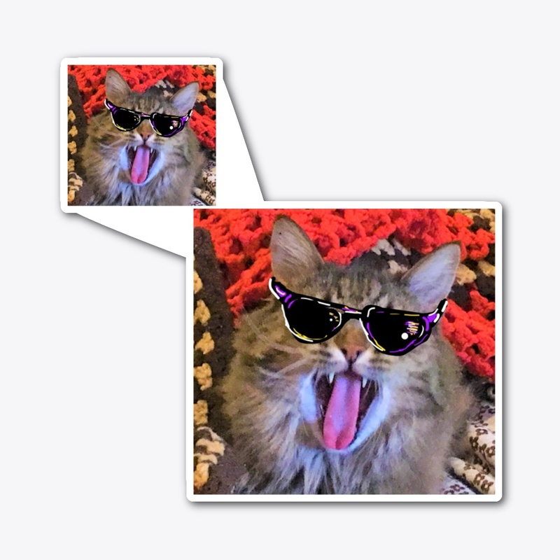 Cool Cat collection!