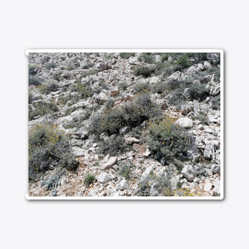Immortelle