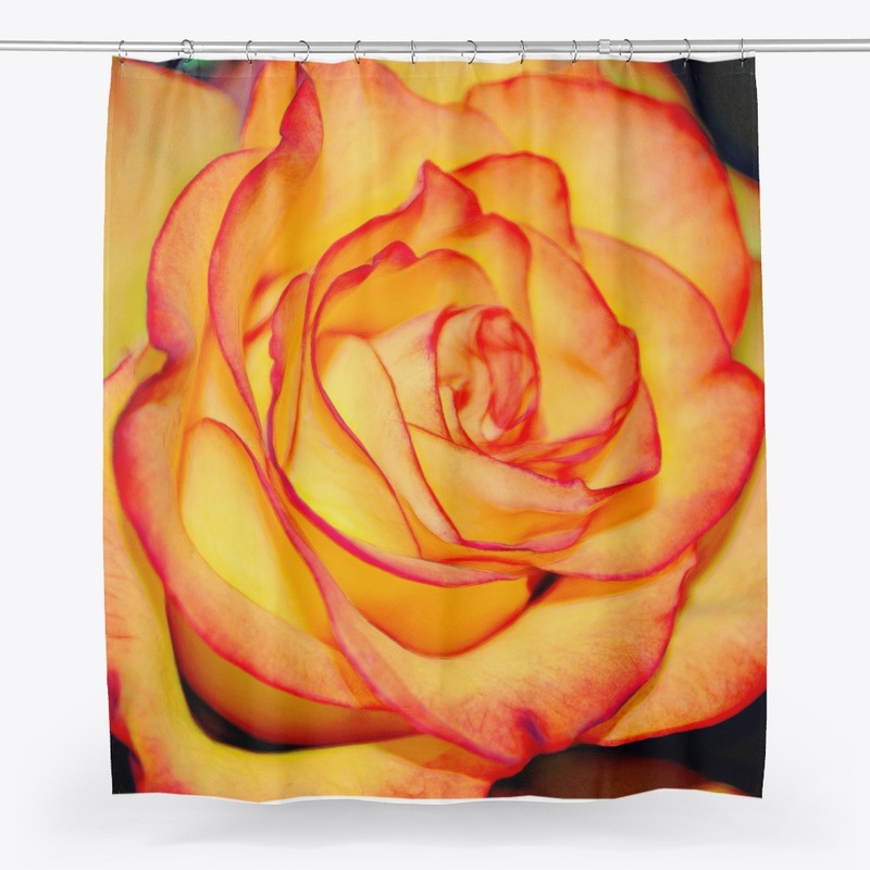 Bright Orange Rose