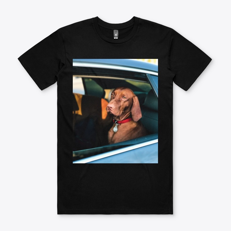 Men’s Premium T-Shirt